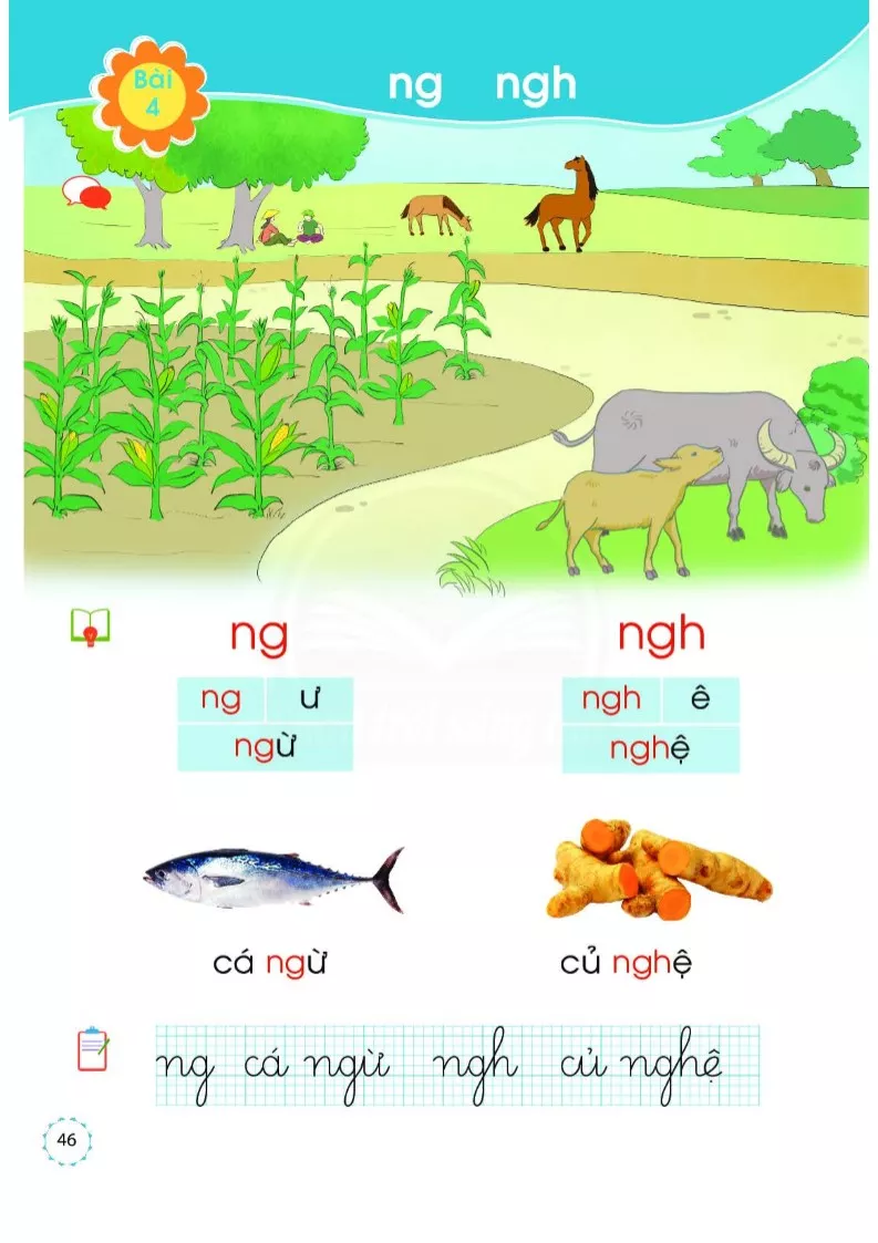 Sgk Scan B I Ng Ngh S Ch Gi O Khoa H C Online C Ng